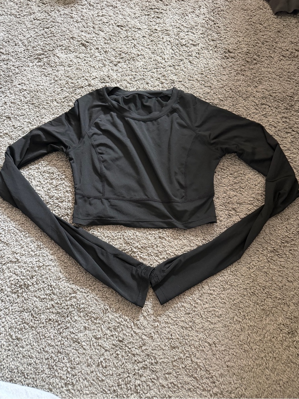 Halara Black Long-Sleeve Cropped Athletic Top